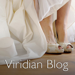 Viridian Blog